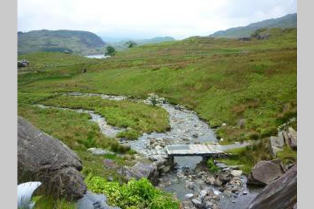 Moelwyn Cottage 布莱奈费斯蒂尼奥格 外观 照片