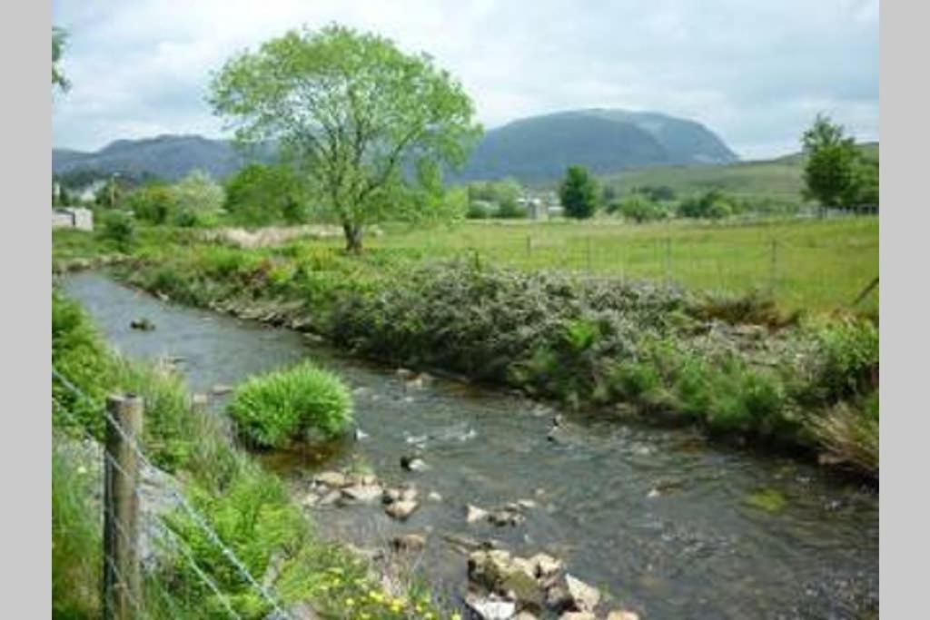 Moelwyn Cottage 布莱奈费斯蒂尼奥格 外观 照片