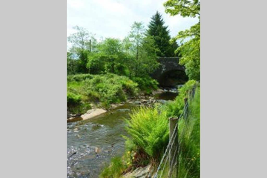 Moelwyn Cottage 布莱奈费斯蒂尼奥格 外观 照片